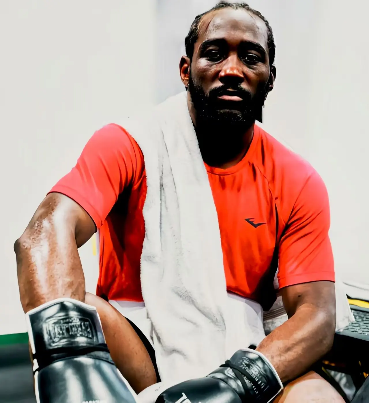 诚挚的建议, 主的特伦斯, 我不想再看