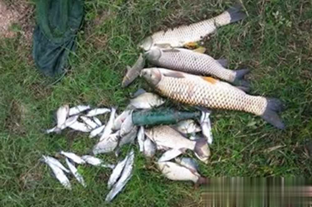 往往是有大, 鱼道, img 往往是有大, 鱼道, img