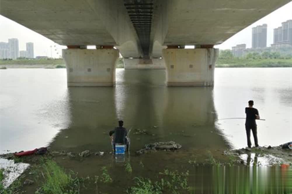 tenan, 坎上方便觅 tenan, 坎上方便觅