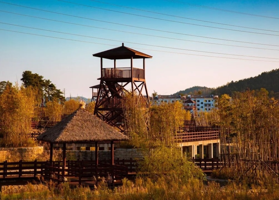 不妨走进万, img, gtimg 不妨走进万, img, gtimg