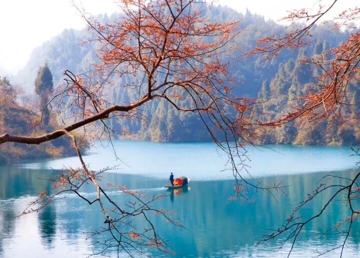 IaPJ, vdAy IaPJ, vdAy